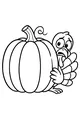 Turkey Peekaboo Behind the Pumpkin