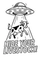 Beam Me Up, Bessie