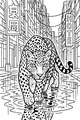 Leopard in the Shiny City Streets