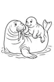 Gentle Giants of the Arctic Water