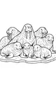 The Biggest Walrus Family on the Ice