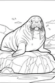Grand Walrus Resting on the Rocky Shore