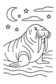 Midnight Walrus Under the Stars