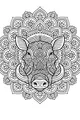 Warthog Whirls and Patterns
