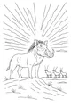 Warthog King of the Sunny Plain