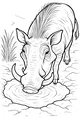 Thirsty Warthog at the Muddy Pond
