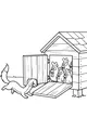 Sneaky Weasel Visits the Chicken Coop