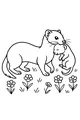 Weasel Mama’s Garden Walk