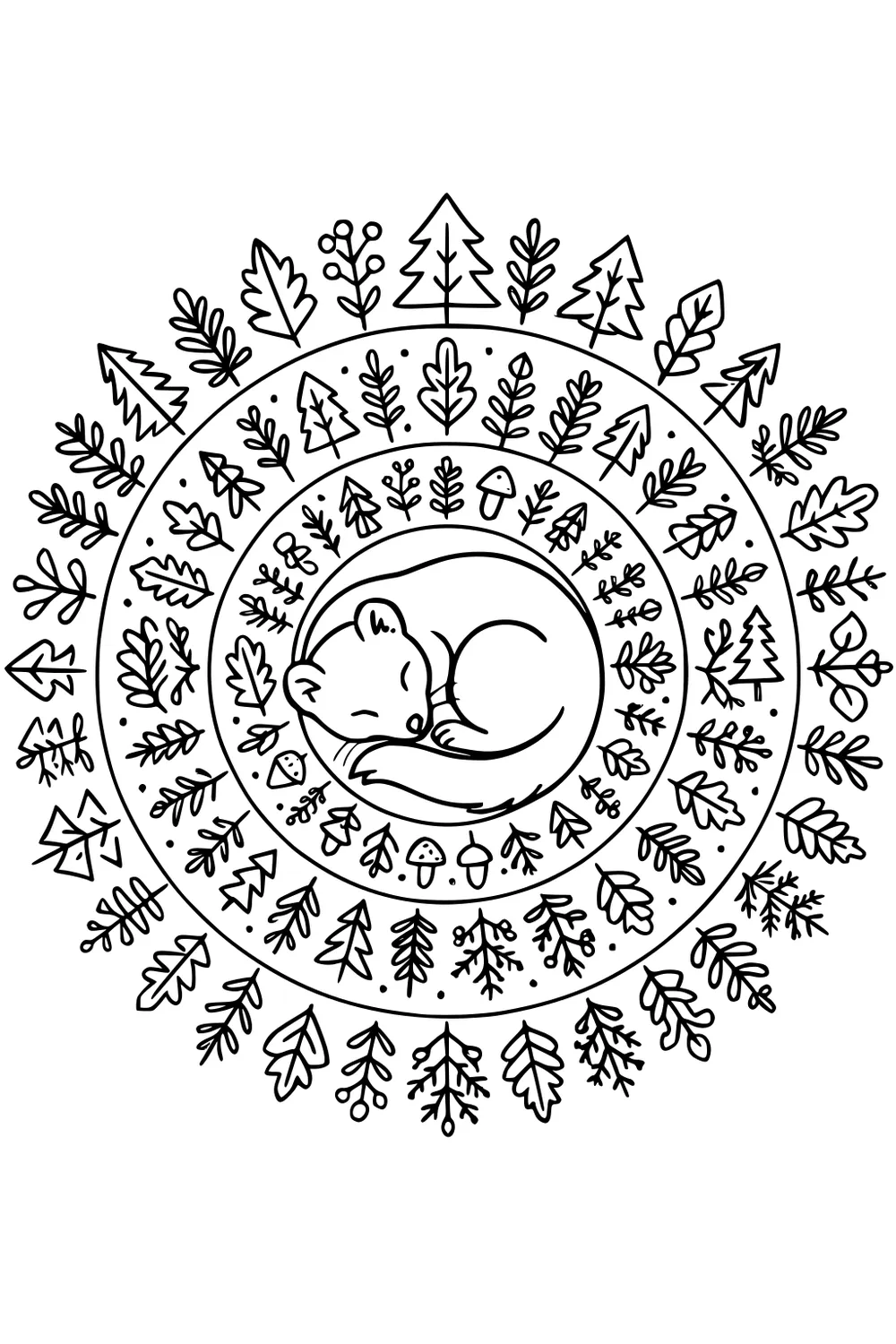Sleeping weasel curled in a ball, surrounded by rings of forest leaves, pine trees, mushrooms, and acorns.