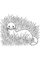 Whiskers in the Tall Green Grass