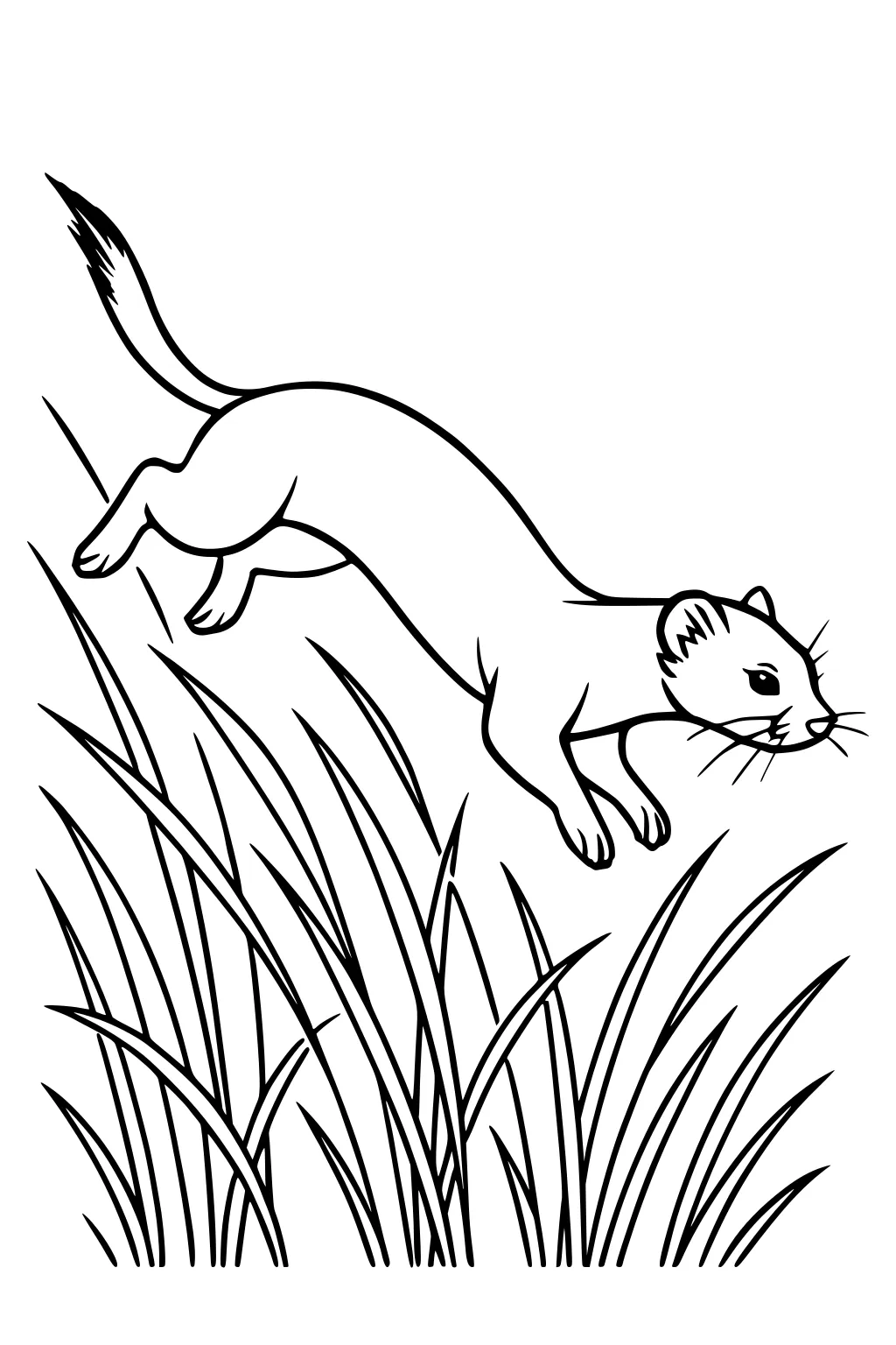Weasel leaping above tall grass, mid-jump, with whiskers and tail visible.