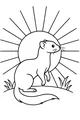 Morning Stretch with a Sunny Weasel
