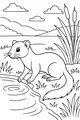 Willow the Weasel By the Pond