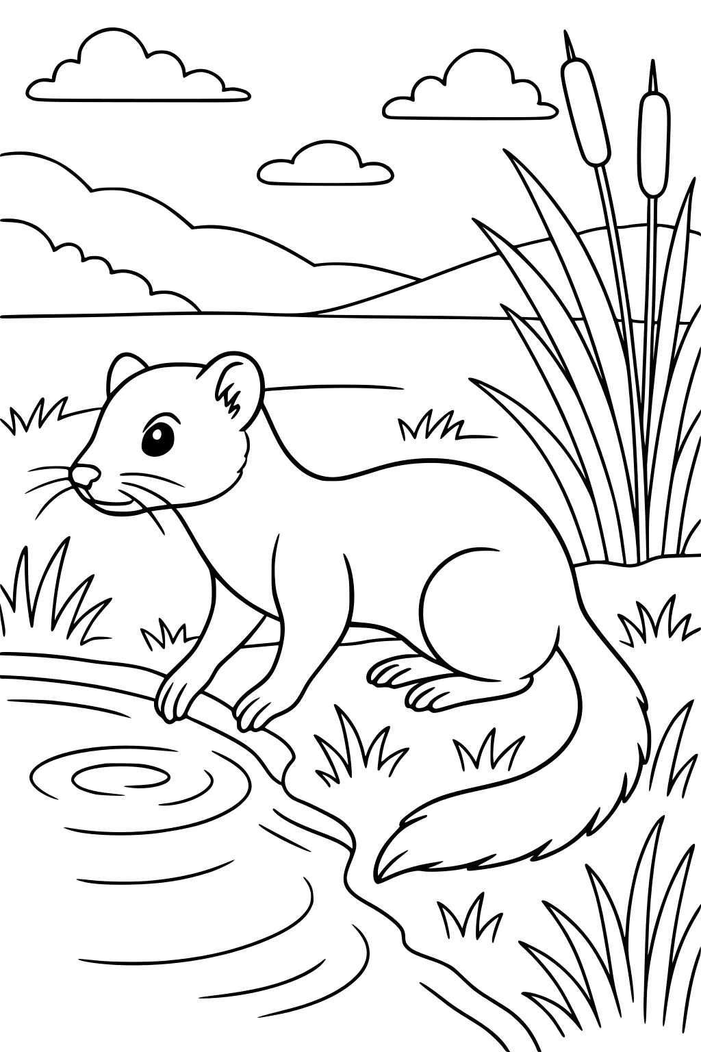 Weasel crouching by a pond with grasses, bulrushes, hills, and clouds in the background.