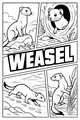 Busy Weasel Wonders in Wild Places