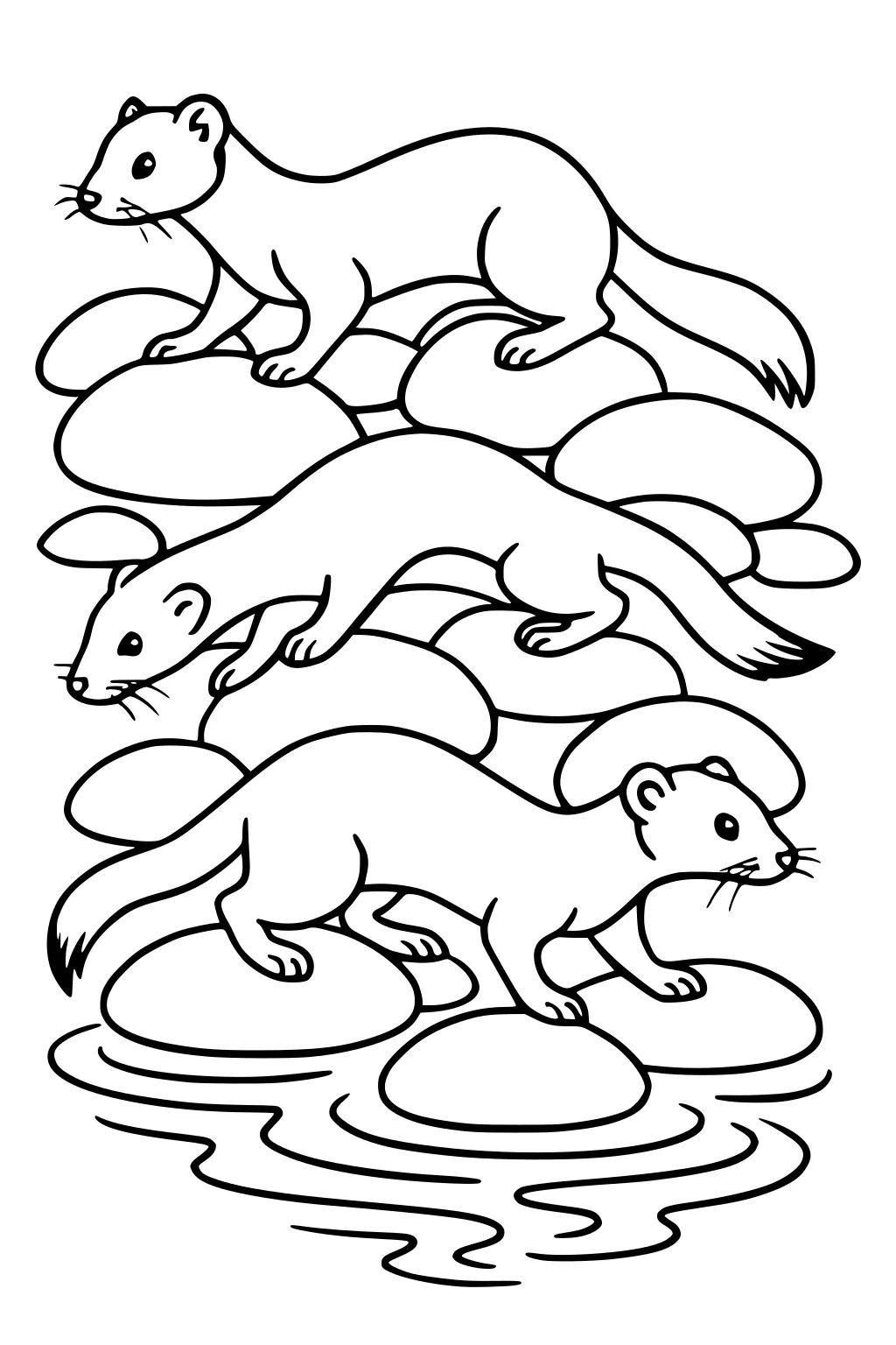 Three weasels with long tails walking across big round rocks by water with ripples. Each weasel faces a different direction.