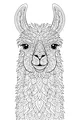 Lenny the Loopy-Furred Llama Smiles Wide