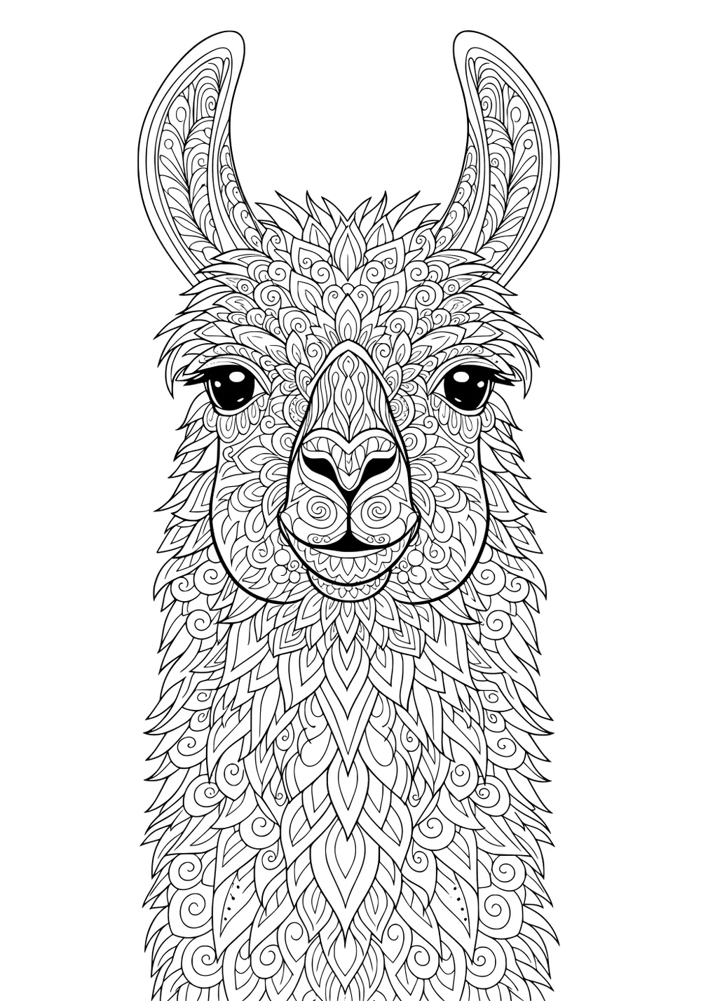Detailed line drawing of a llama head with swirling fur patterns and big, expressive eyes.