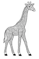 Tall Swirls in the Savanna Sun