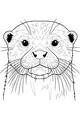 Otter Whiskers and Wonder Eyes