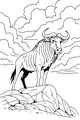 Wildebeest on Windy Rock