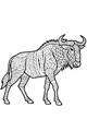 Wally the Wildebeest Walks