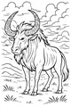 Zigzag-Horned Savanna Wildebeest