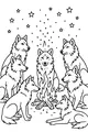 Wolf Pack Campfire Under Stars