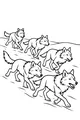 Trail of the Wolf Pack