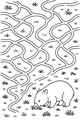 Wally Wombat and the Wavy Paths