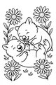 Wombat Giggles in the Daisies