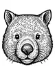 Nose Boop Wombat Portrait