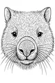 Mr. Wombat and His Big Nose