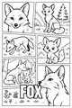 Foxy Friends in the Forest