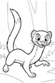 Whiskers in the Woodland Path