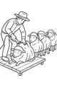 Woolly Line at the Shearing Station