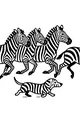 Zebra Parade and Stripey Pup