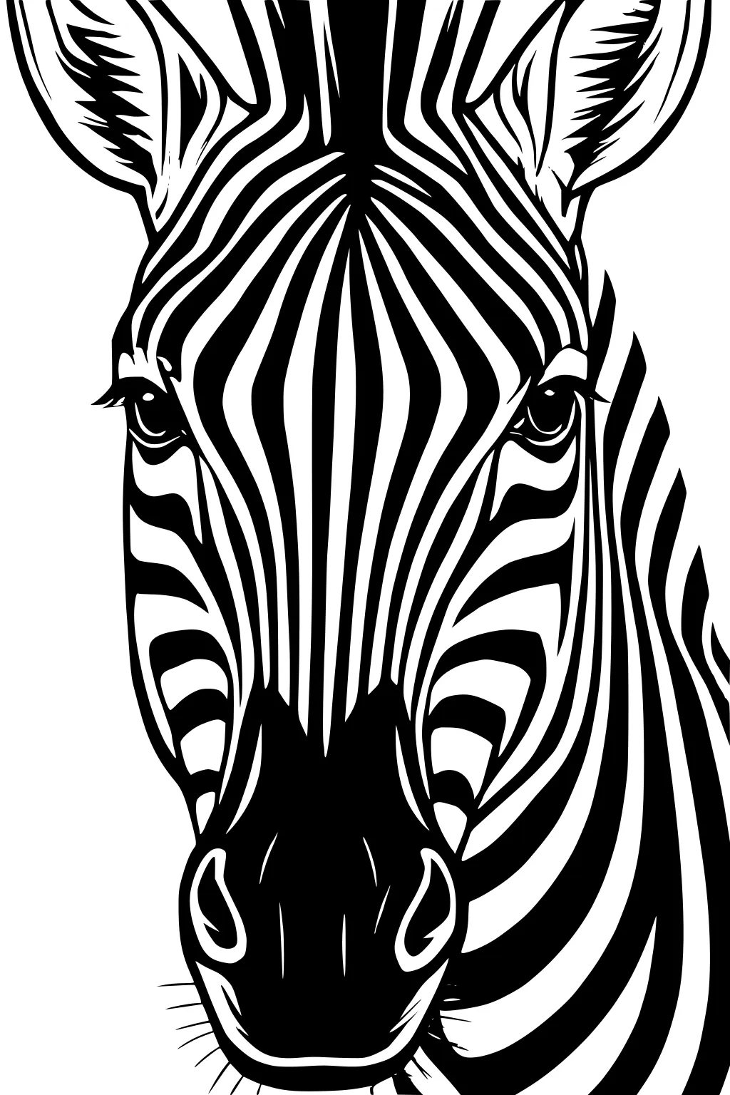 Close-up zebra face with bold stripes, perked ears, large eyes, and a wide muzzle, centered on a white background.