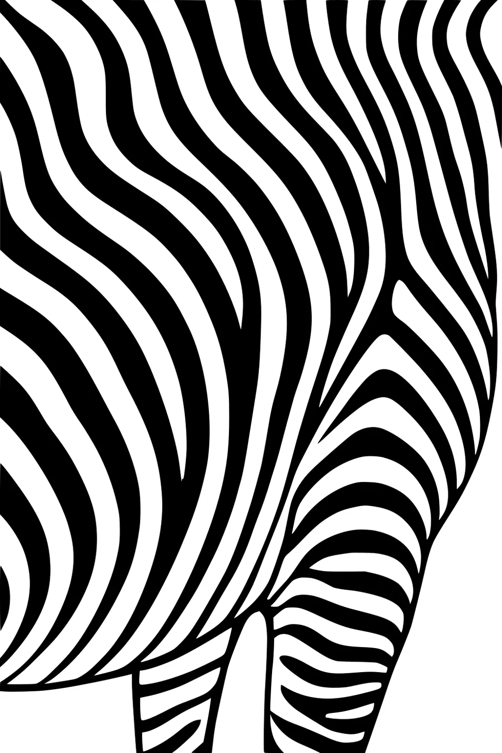 Close-up zebra pattern with wavy black-and-white stripes, showing the animal's torso and hind leg with bold lines.