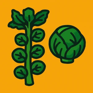 Brussels Sprout