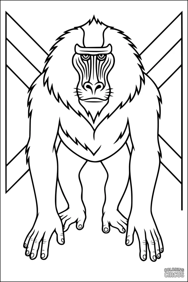 Coloring page featuring a mandrill baboon standing upright with simple background shapes