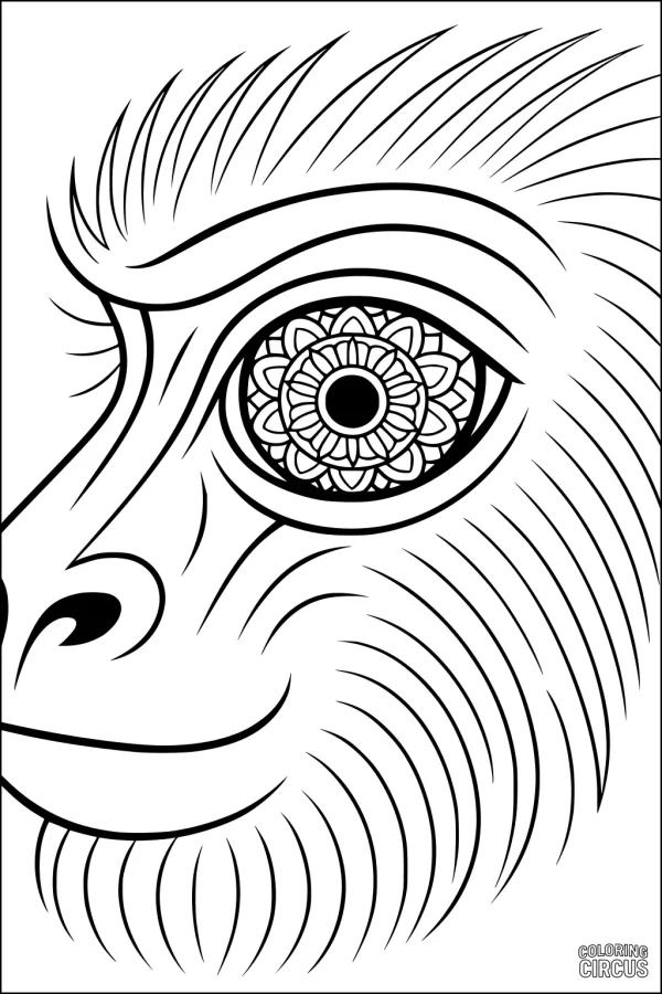 Coloring page featuring a stylized baboon face with intricate mandala pattern in its eye