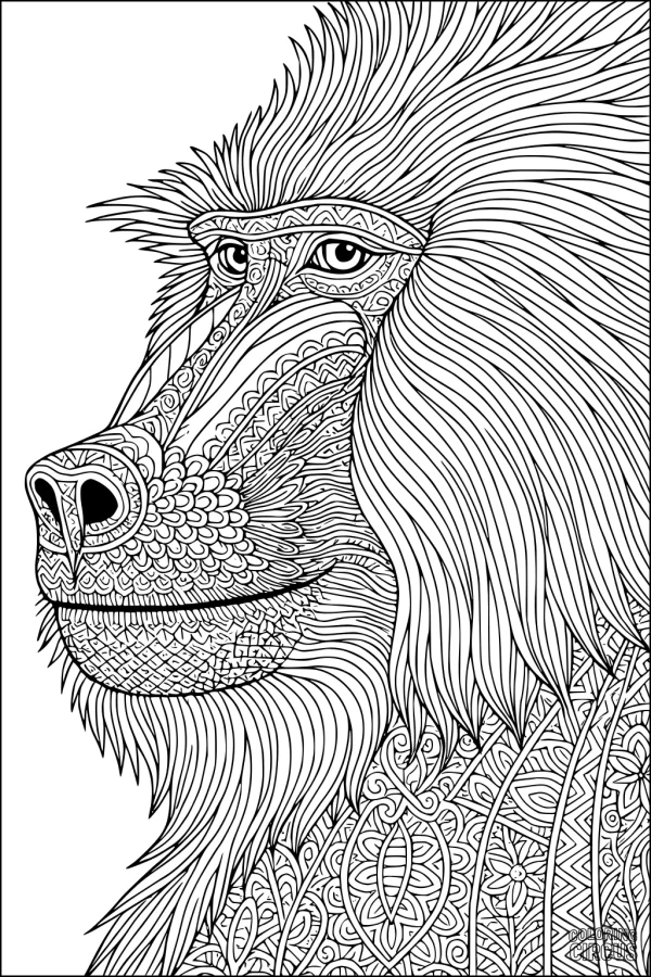 Coloring page featuring a detailed patterned baboon illustration with intricate designs.