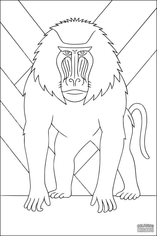 Coloring page featuring a standing baboon with detailed facial patterns and a geometric background