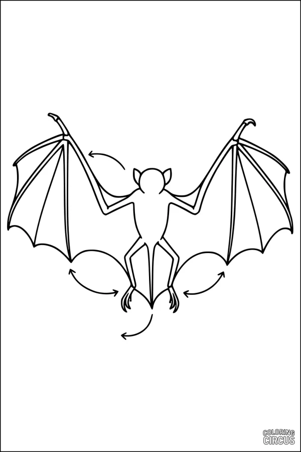 Coloring page of a simple cartoon bat with outstretched wings and motion arrows