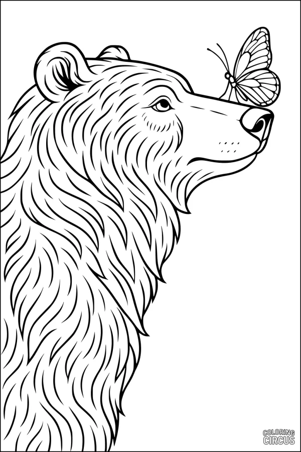 Coloring page of a bear gazing at a butterfly on its nose