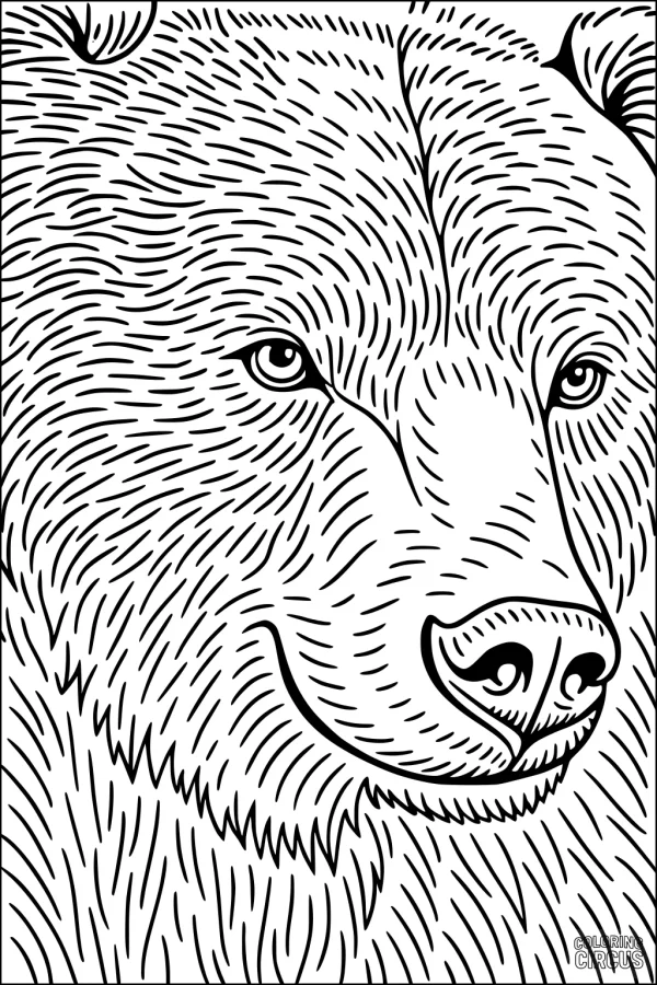 Coloring page showing a detailed bear face with textured fur for creative coloring.