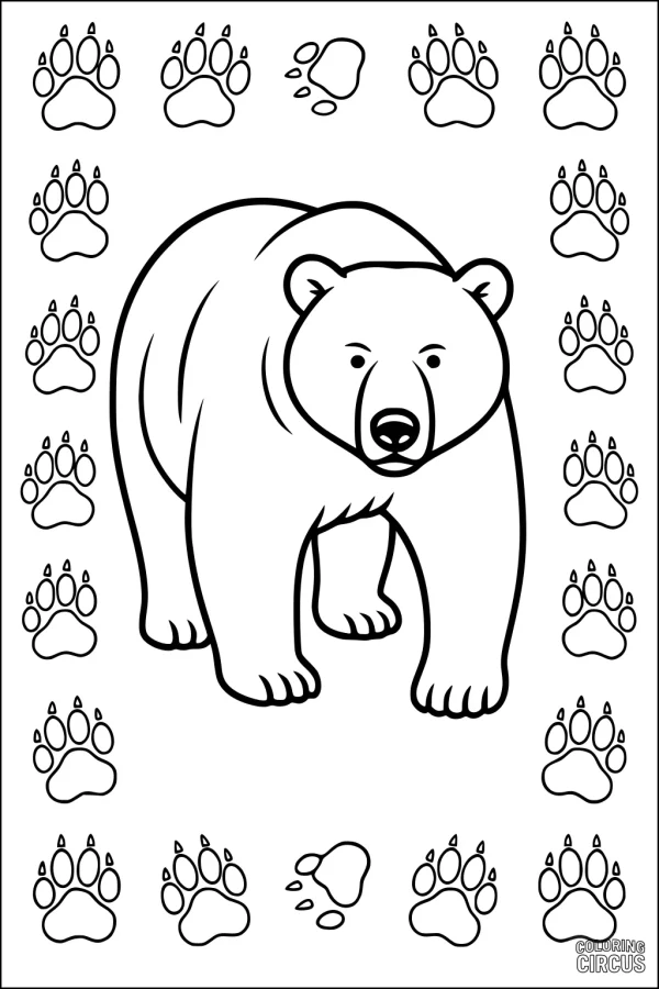 Coloring page featuring a large bear surrounded by paw prints for kids.