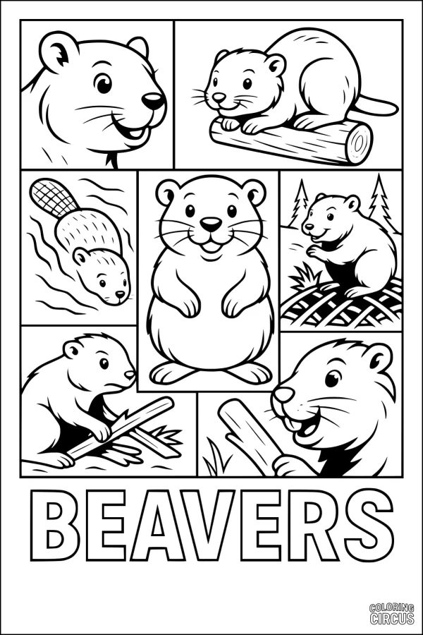 Coloring page with cute cartoon beavers in different woodland scenes