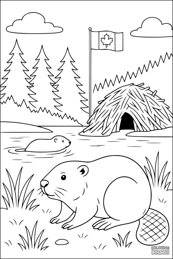 Coloring page showing two beavers by a lodge, pine trees, pond, and Canadian flag